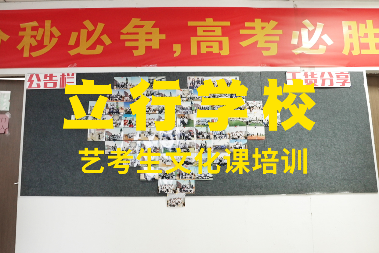 艺考文化课辅导班【高三集训】学真本领本地经销商