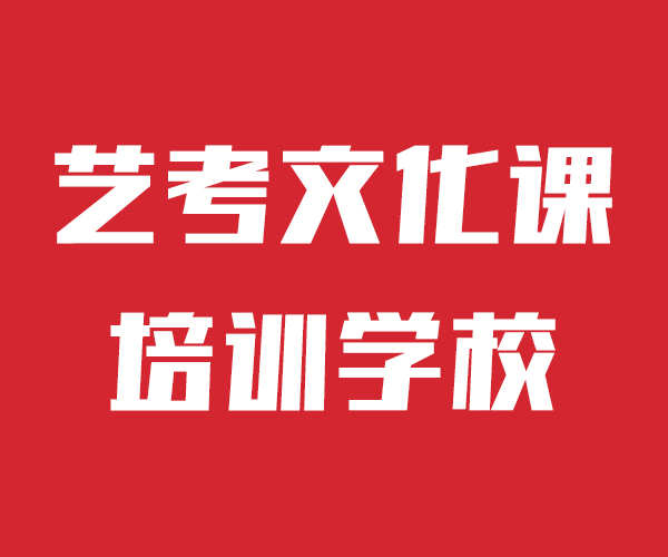 艺考文化课高考语文辅导课程多样