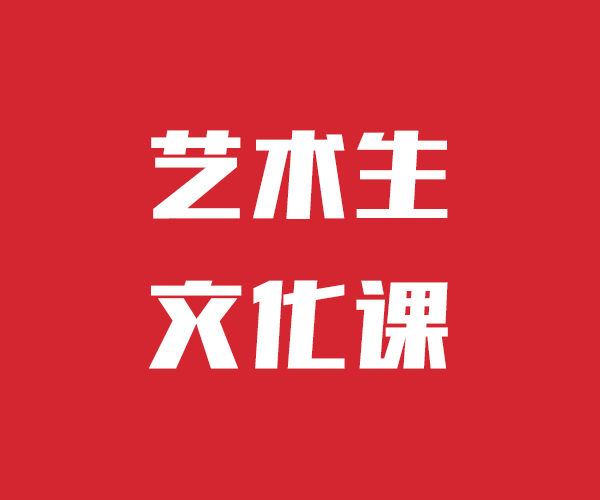 艺考文化课高考语文辅导课程多样