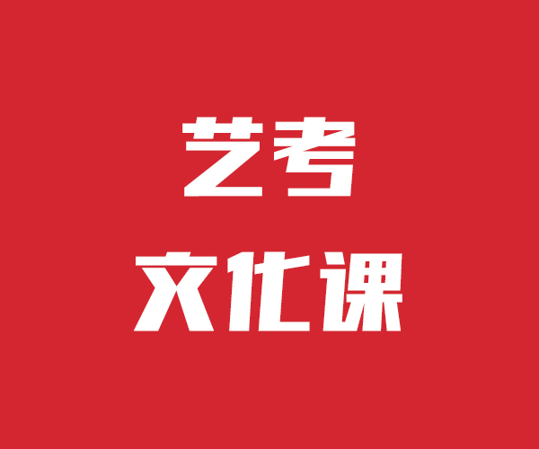 艺考文化课高考语文辅导课程多样