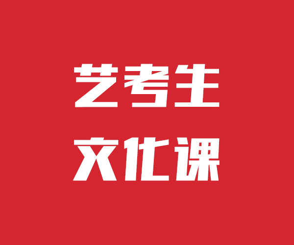 艺考文化课高考语文辅导课程多样
