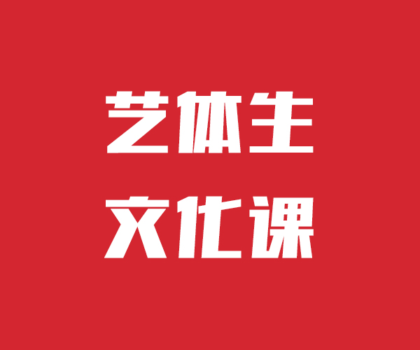 艺考文化课高考语文辅导课程多样