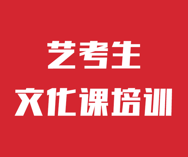 艺考文化课高考语文辅导课程多样
