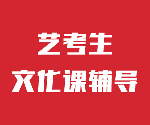 艺考文化课高考语文辅导课程多样