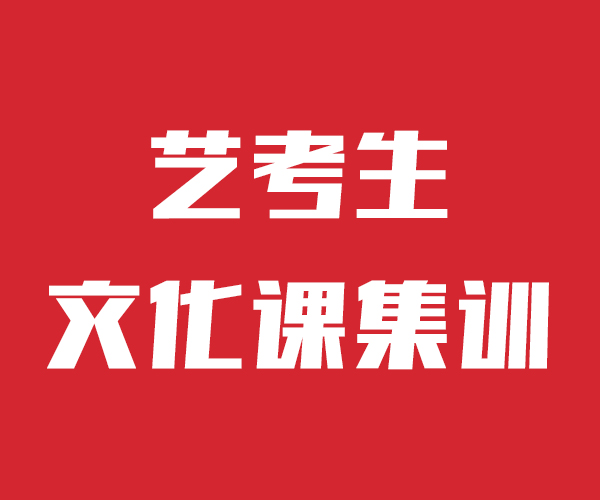 艺考文化课高考语文辅导课程多样