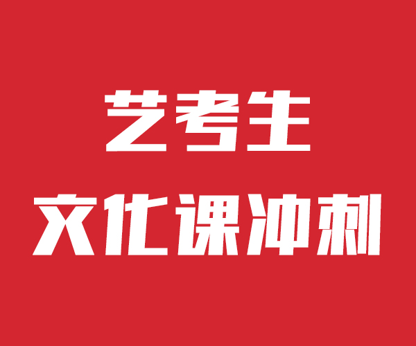 艺考文化课高考语文辅导课程多样