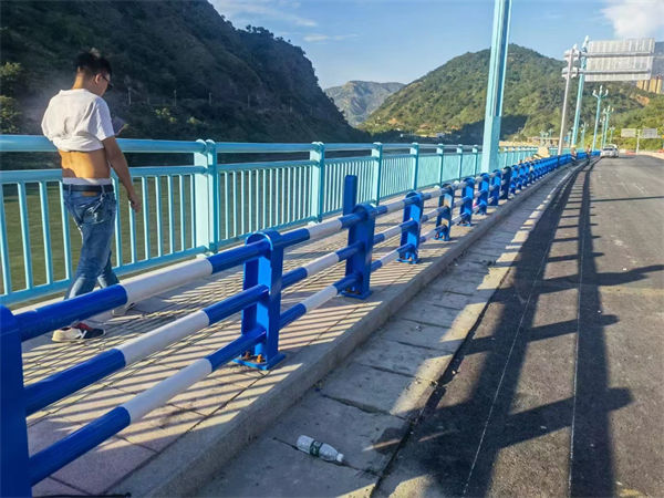 高速桥梁防撞护栏厂高速桥梁防撞护栏规范来电咨询货源足质量好