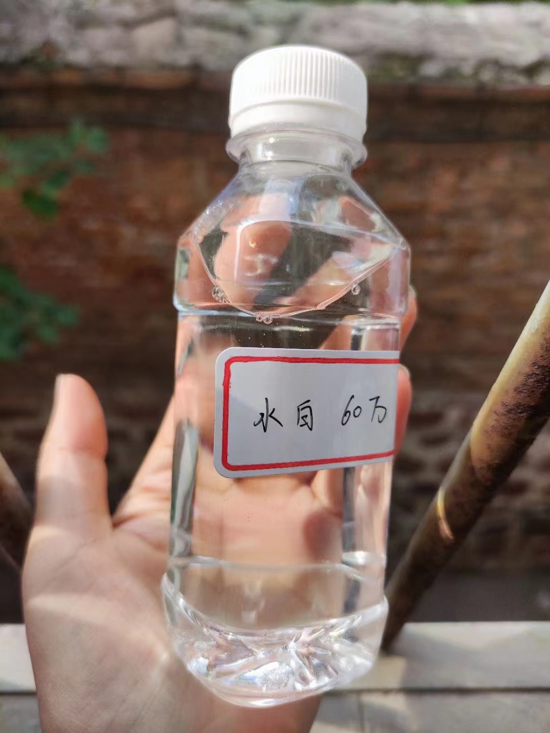 碳源,板框式聚合氯化铝实力厂家当地服务商