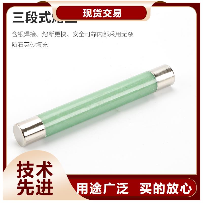 XRNP1-12/0.2A限流熔断器种类齐全