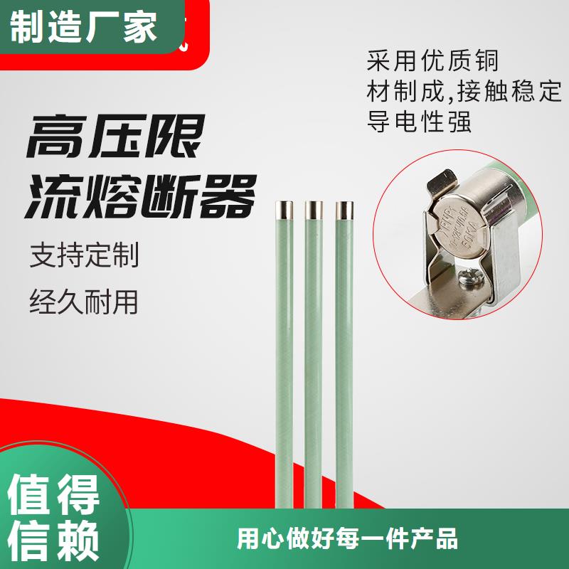 XRNM1-10/100A限流熔断器当地品牌