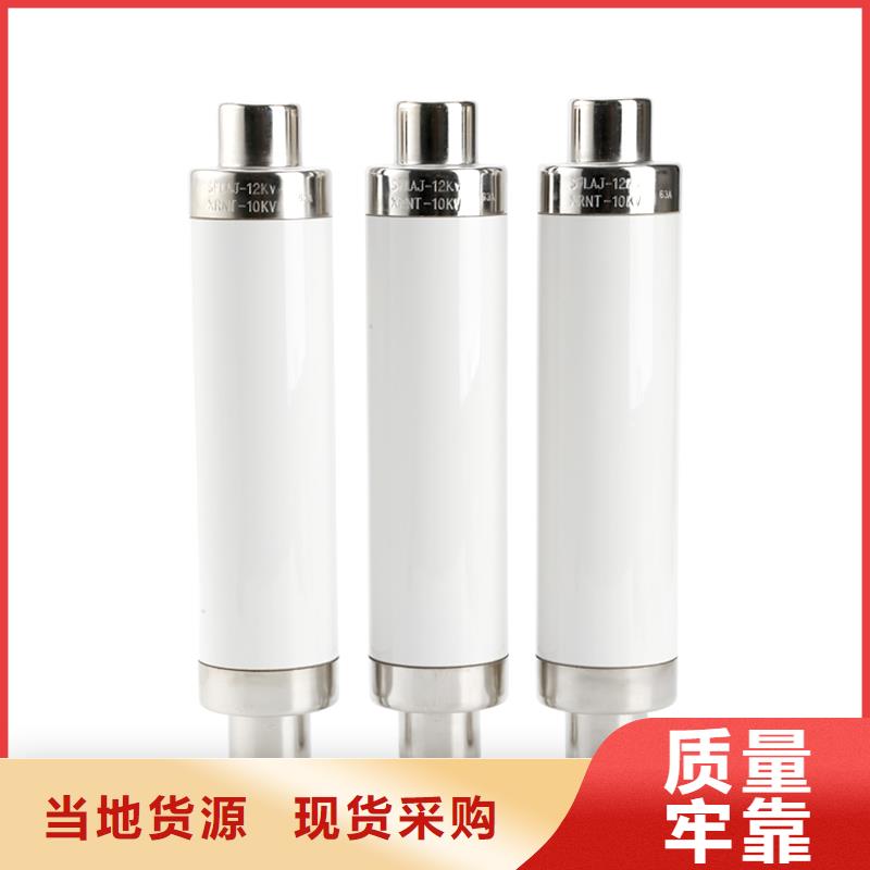 XRNP-40.5/1A变压器用熔断器生产加工