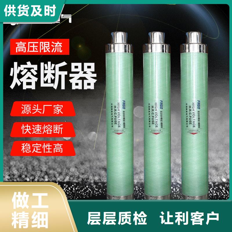 XRNM-12/200A保险管注重细节