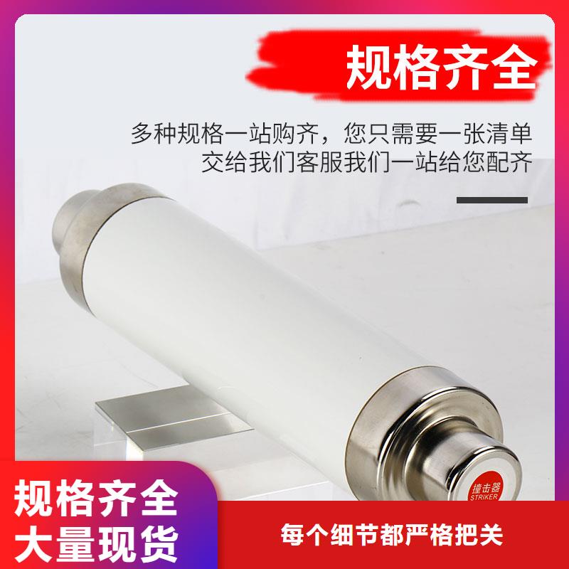 限流熔断器-电缆附件支持定制贴心售后库存充足