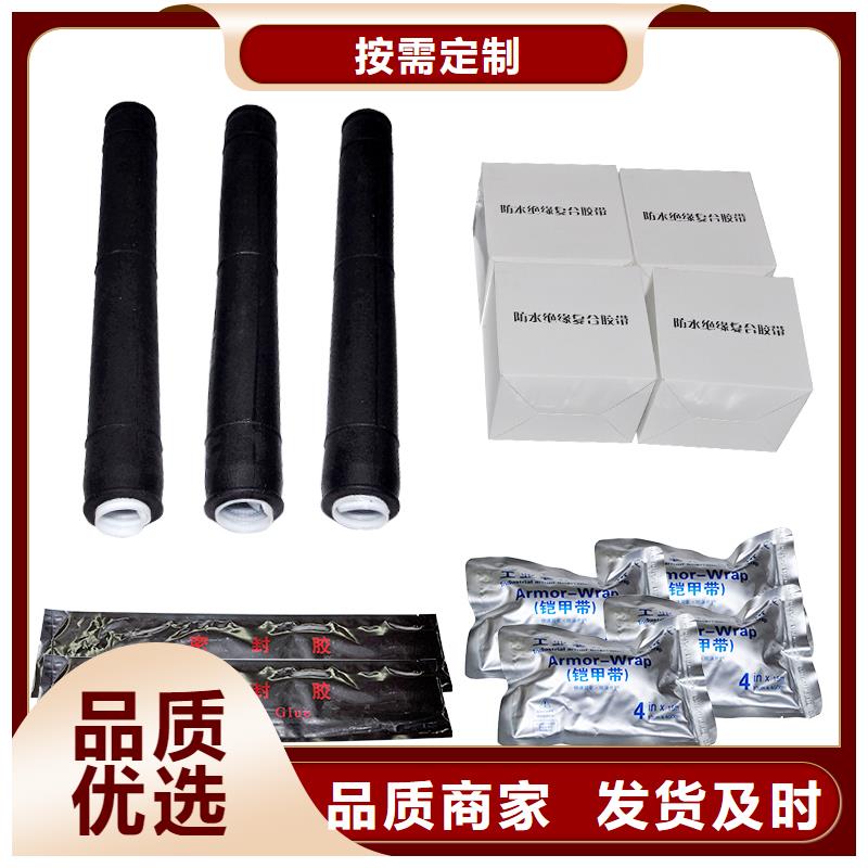 WSY-10/1.2单芯户外终端头厂家采购