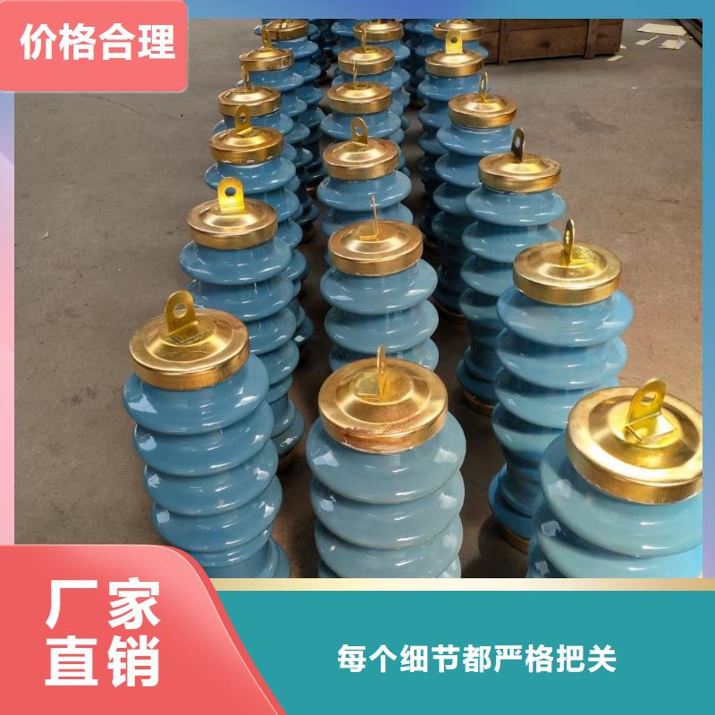 HY10WZ-100/260电站型氧化锌避雷器本地制造商
