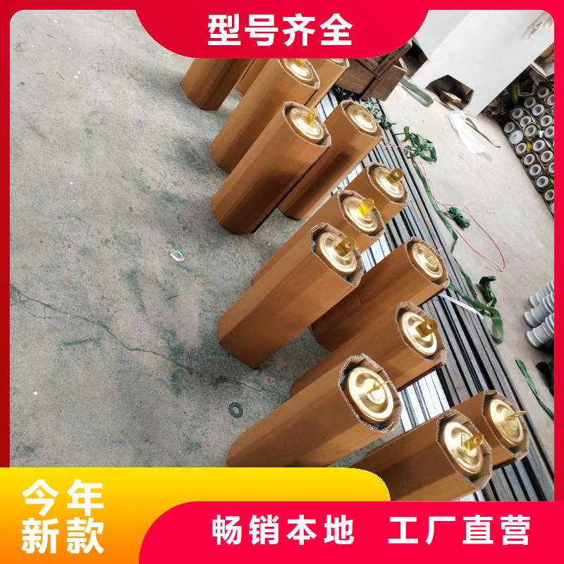 【避雷器】氧化锌避雷器准时交付当地生产商