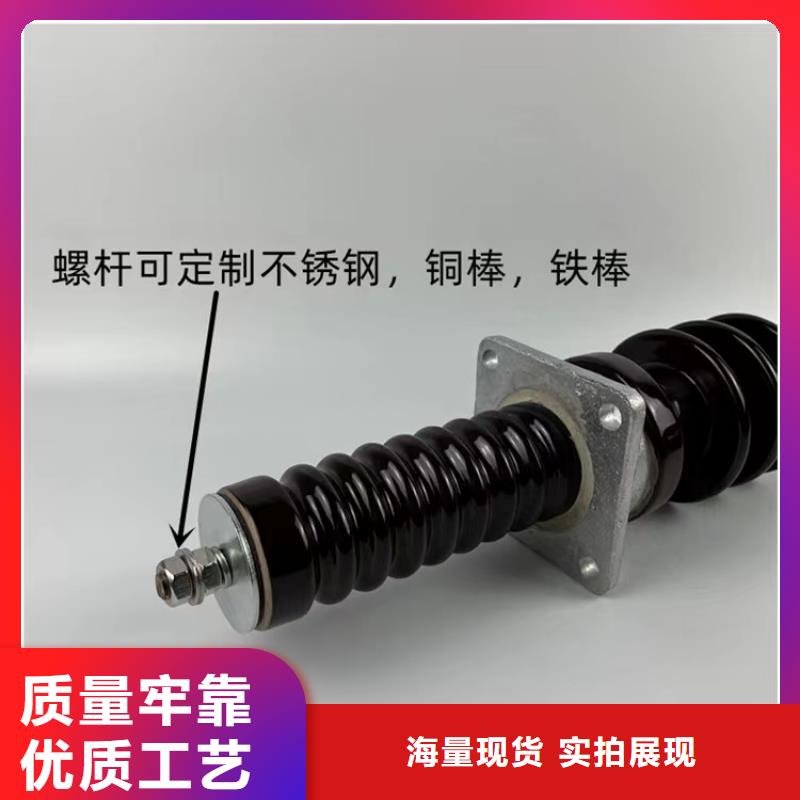 FCGW-10/400高压套管本地品牌