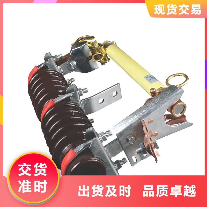BR1-10/5A限流熔断器性能诚信经营