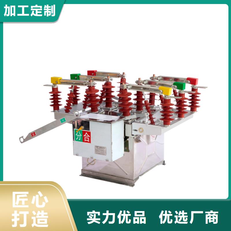 SN10-10/1000-16六氟化硫断路器当地厂家