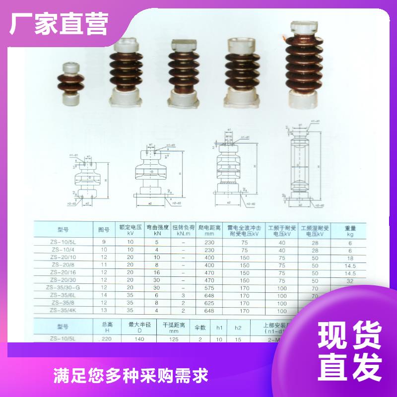 绝缘子-【氧化锌避雷器】做工精细畅销本地