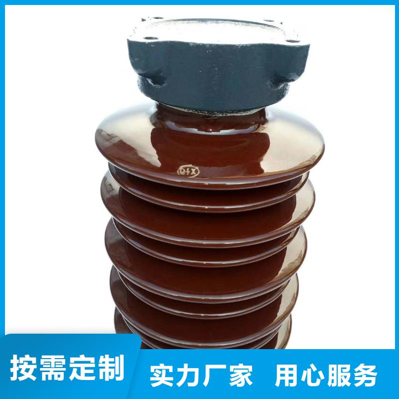ZN-10/4高压陶瓷绝缘子精挑细选好货