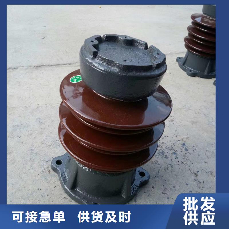 ZJ-10KV/100*140高压绝缘子批发商