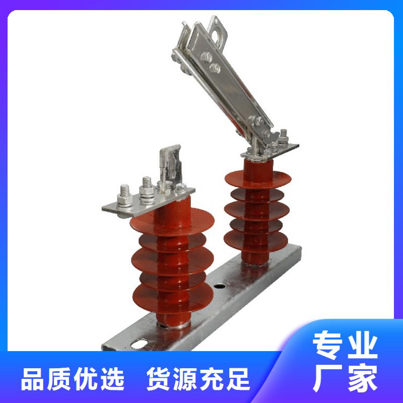RW-0.5/1000A低压刀熔开关货真价实