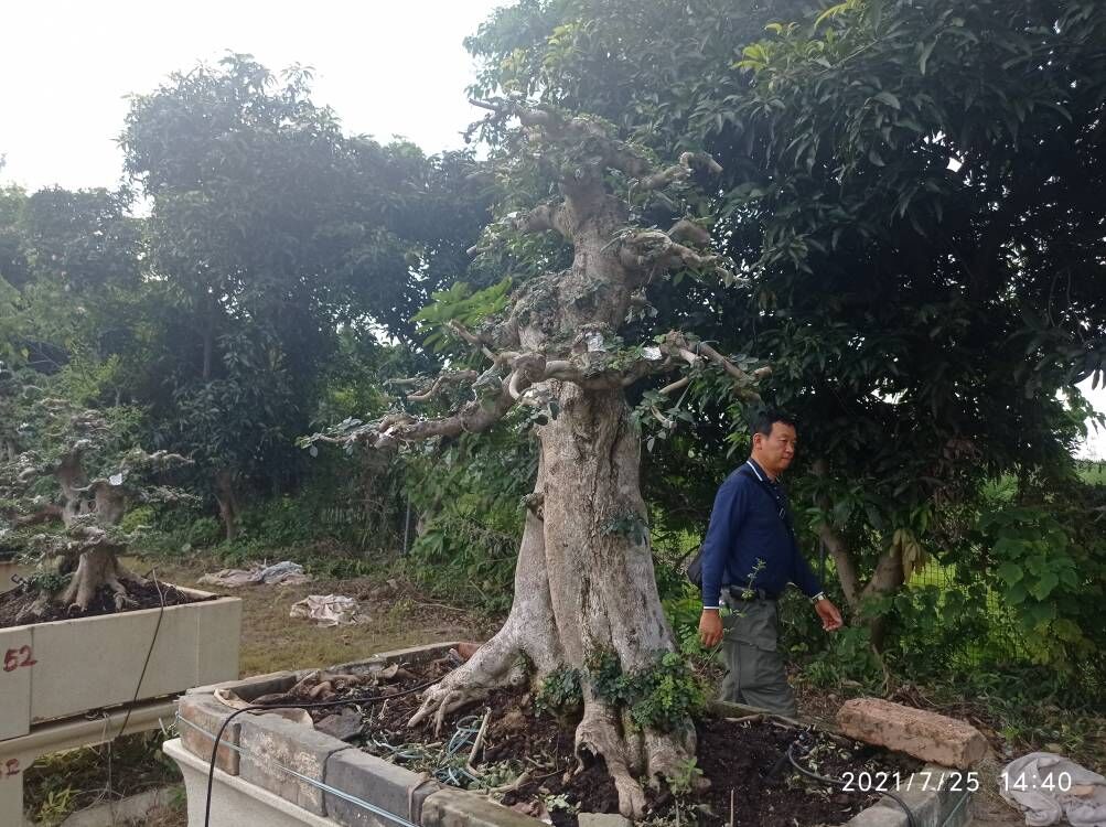 养殖水体污染治理环境清洁除臭大图当地货源