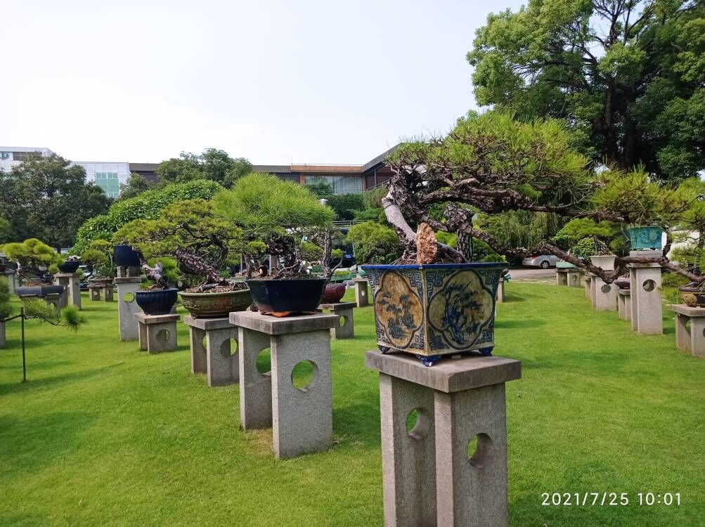 土壤固化剂助您降低采购成本