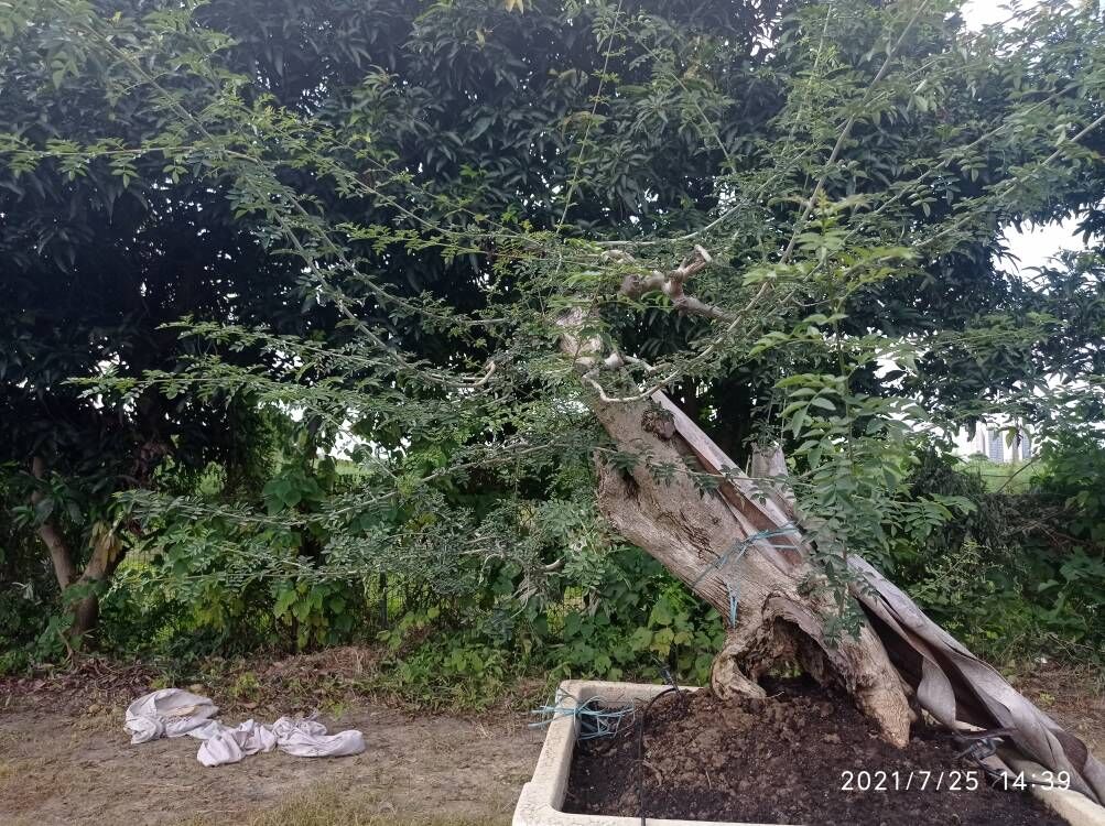 土壤固化剂油泥改性固化剂颜色尺寸款式定制