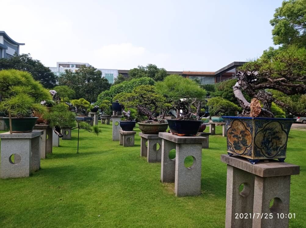 黑臭蓝藻水体治理
污泥改性剂中心