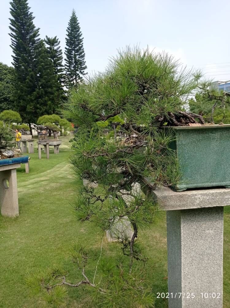 北京污泥改性固化剂矿区重载道路固化土预算