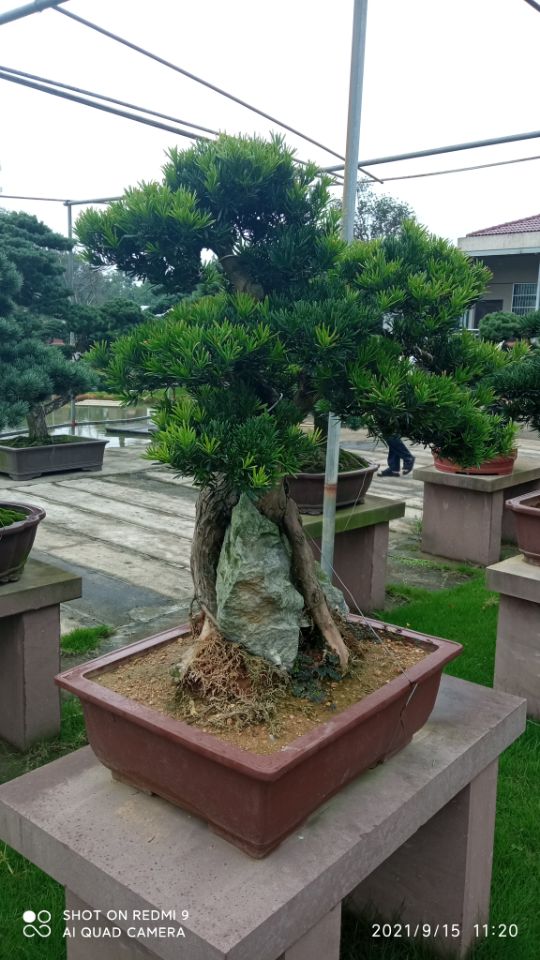 土壤固化剂油泥改性固化剂颜色尺寸款式定制