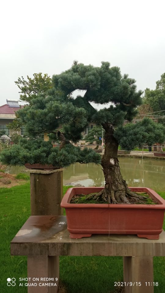 建筑维修房屋修缮污泥改性剂厂家