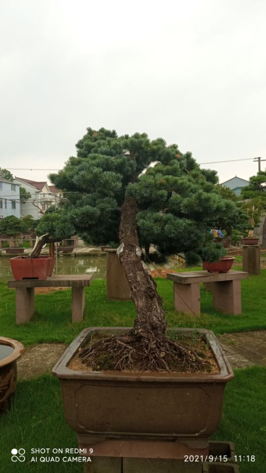 土壤固化剂沙土固化剂选择我们选择放心一站式供应厂家
