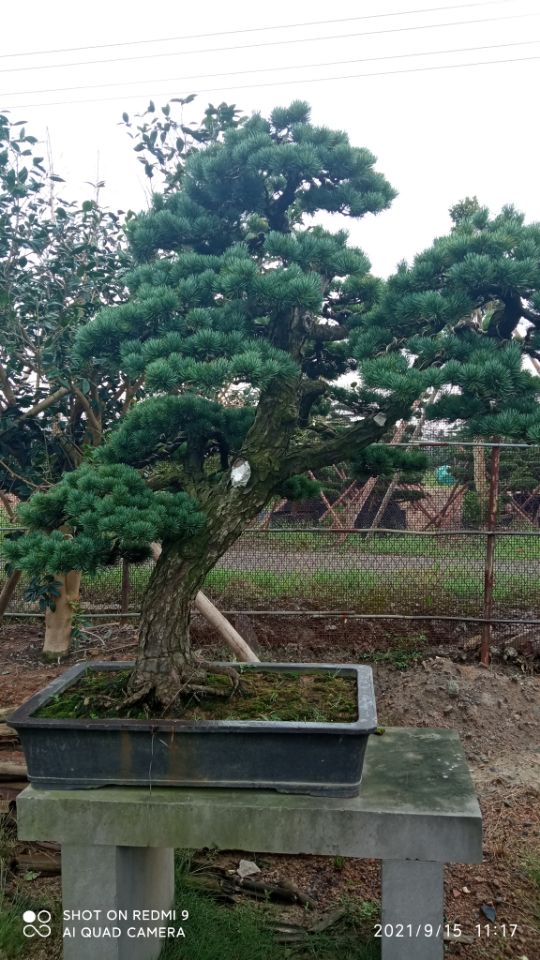 土壤固化剂助您降低采购成本