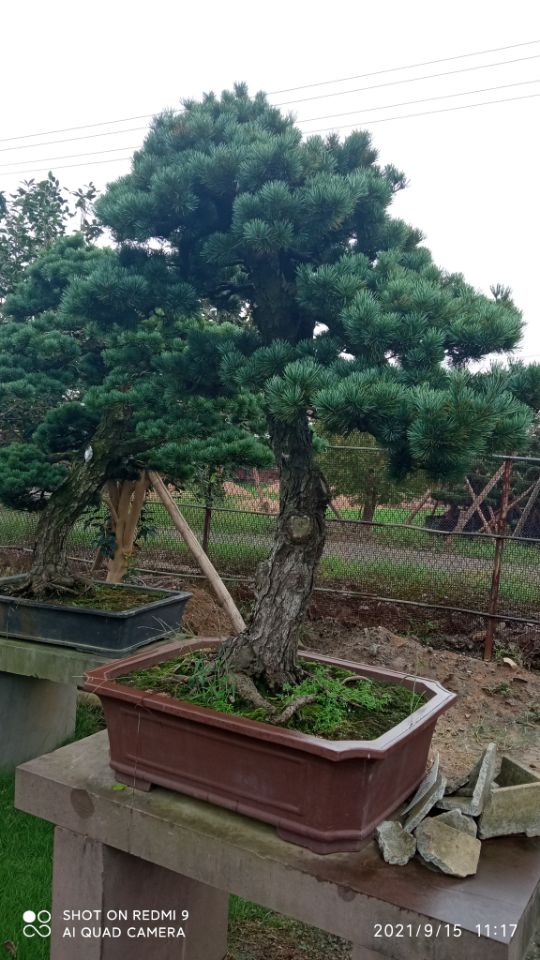 土壤固化剂专注细节使用放心
