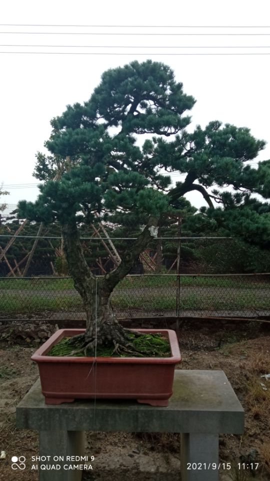场地硬化固化淤泥就地固化剂咨询品质优选