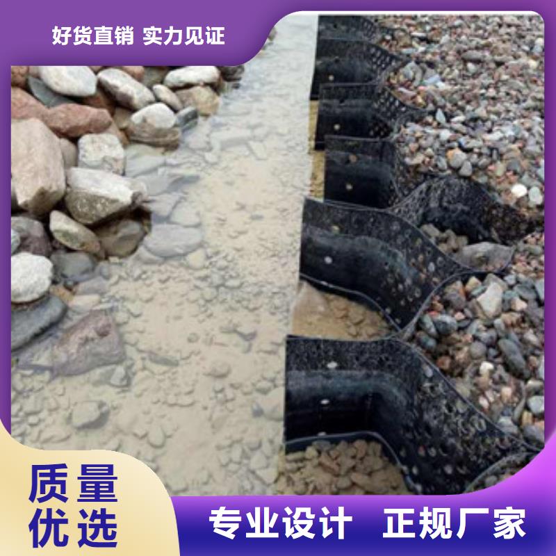 绿色土工格室本地供应商