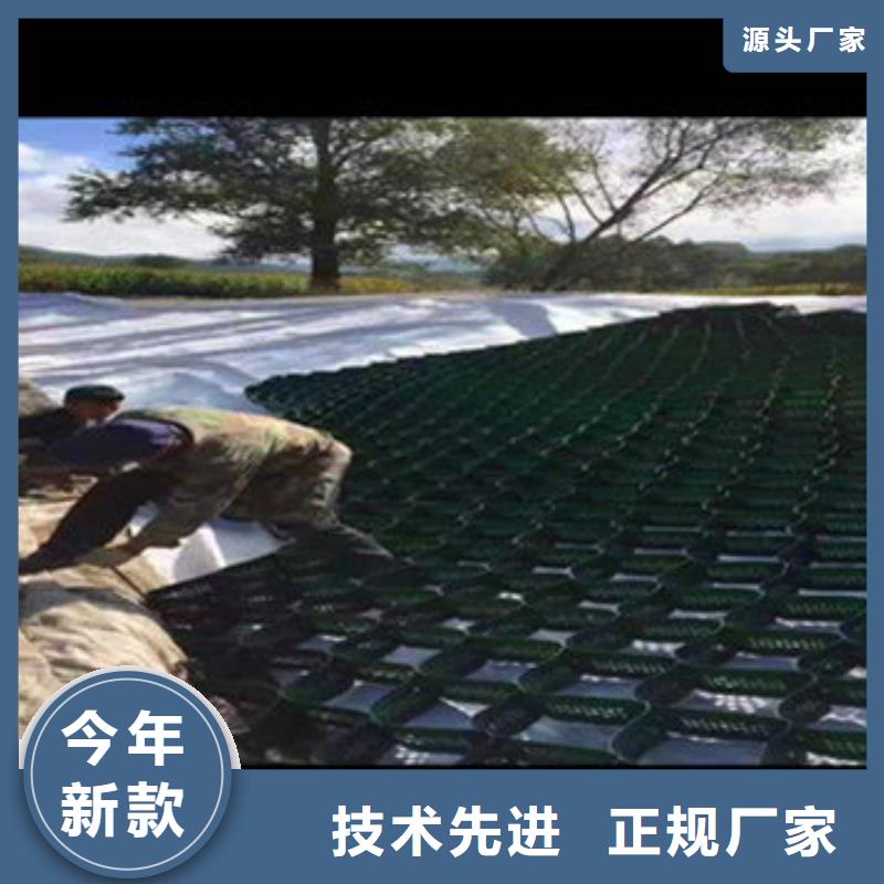 滨州蜂巢土工格室