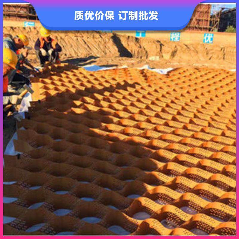 价格低的高强高分子蜂巢格室实体厂家高性价比