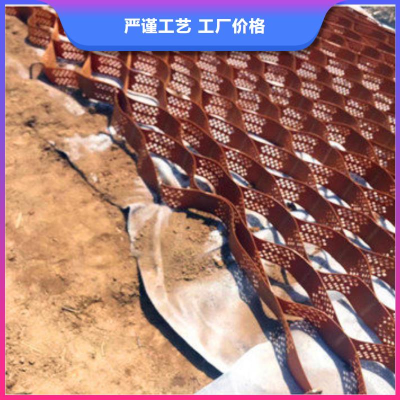 三灶镇塑料土工格室当地生产商