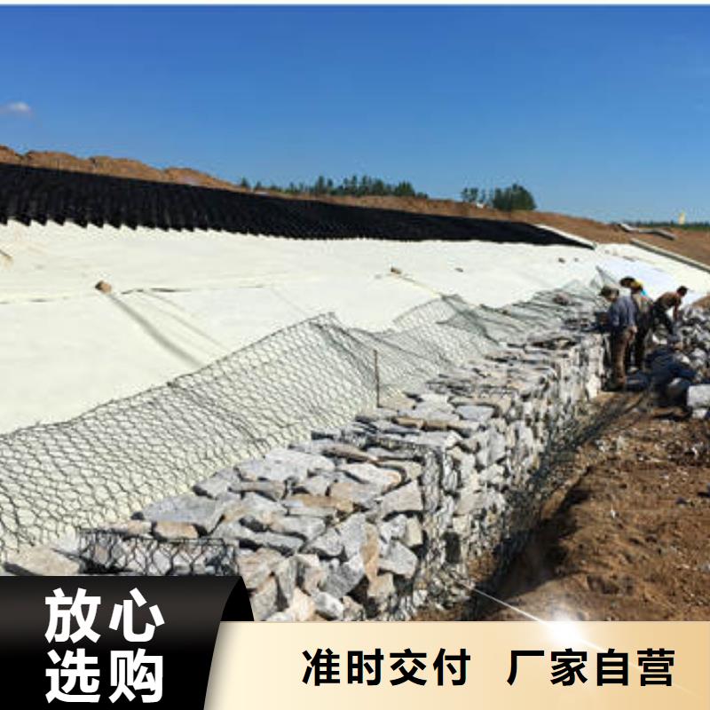 阳信土工格室价格无中间商,无中间商
