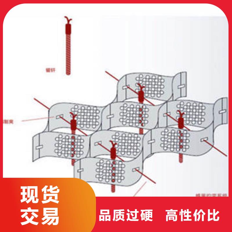 蜂巢格室现货实拍