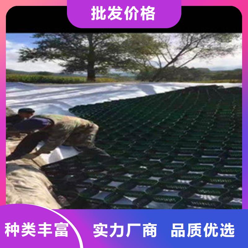 东方蜂巢格室快速物流发货