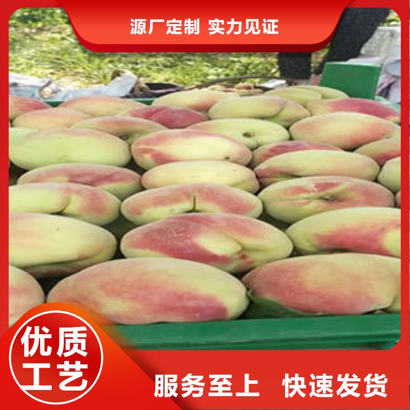 7厘米种植基地本地经销商
