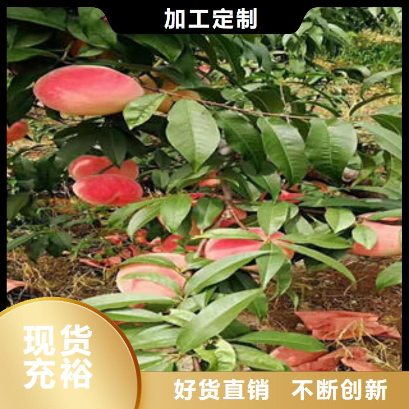 40公分批发基地款式多样
