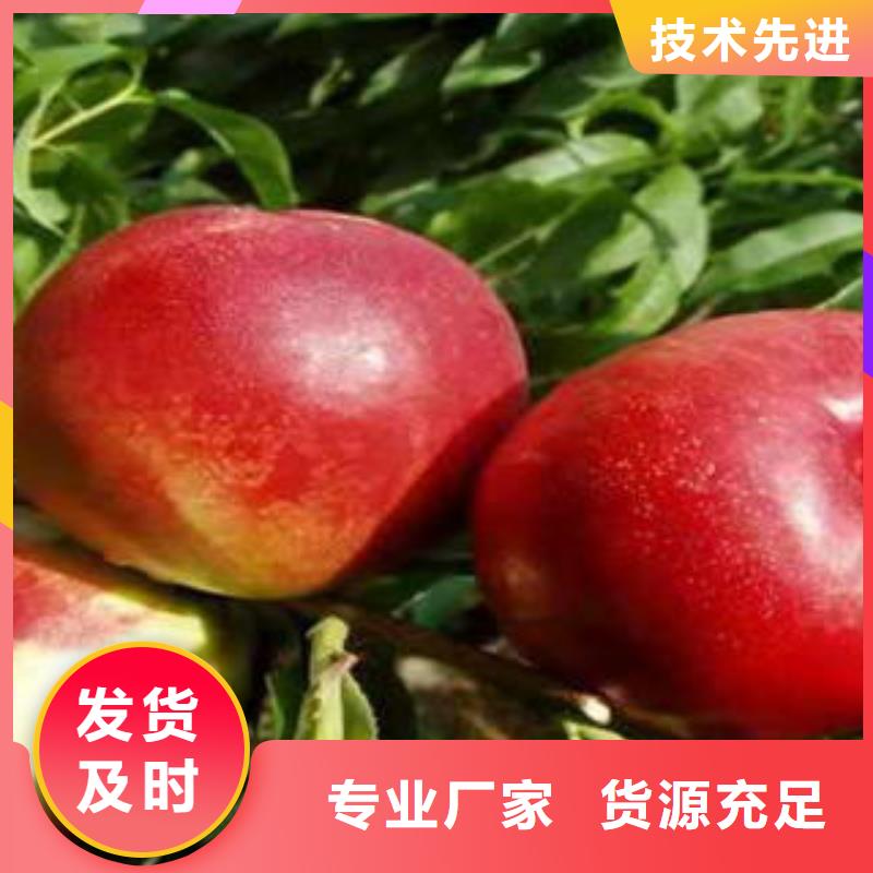 ​12厘米种植方法质量不佳尽管来找我