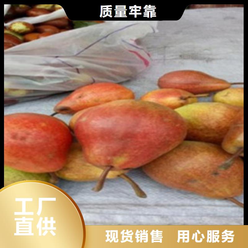 70公分怎么买工艺成熟
