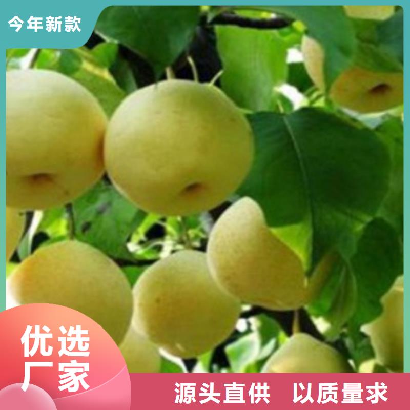 1.5米种植基地细节决定成败